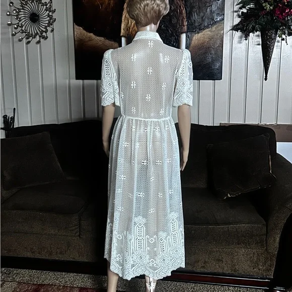 Vintage (1960’s) USA ~ Size 6 ~ Net Floral Lace Edwardian Embroidery Sexy Dress - Picture 15 of 16